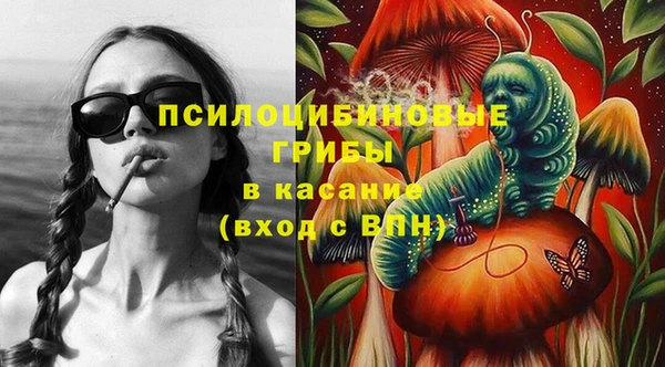 прущая мука Абаза