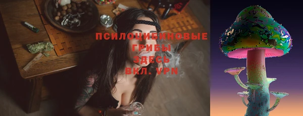 прущая мука Абаза