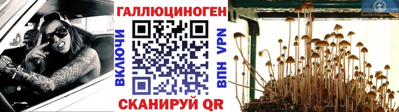 Галлюциногенные грибы прущие грибы  кракен   Ува  хочу  